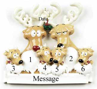 Deer  