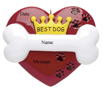 Best Dog