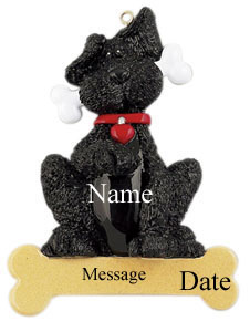Black Dog