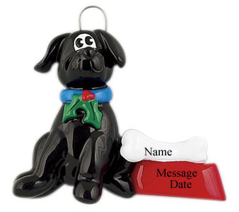 Black Dog with Bowl