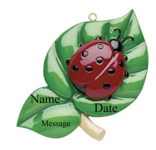 Ladybug
