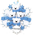 Polar Bears