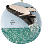 Humpback Whale