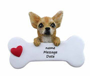 Dog3