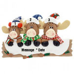 Moose Log