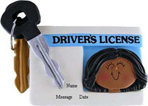 New Driver Girl AA