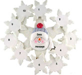 10 Snowflake Family