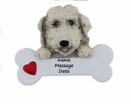 Labradoodle