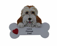 Cockapoo