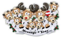 9 Reindeer