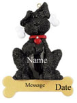 Black Dog