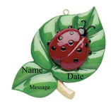 Ladybug